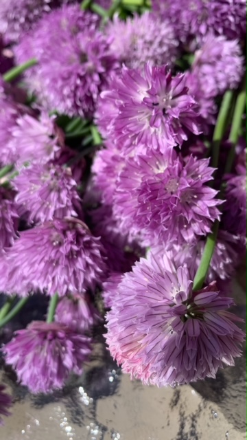 GRÄSLÖKSBLOMMOR